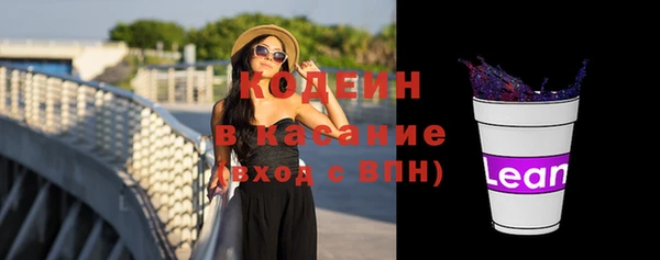 тгк Гусев