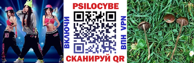 даркнет сайт  Жигулёвск  Галлюциногенные грибы мицелий 